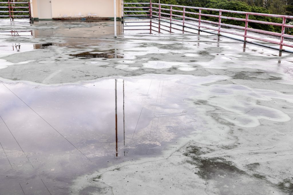 flat roof repair Old flat roof is ponding water and leakage after rain. Blistering flat roof.