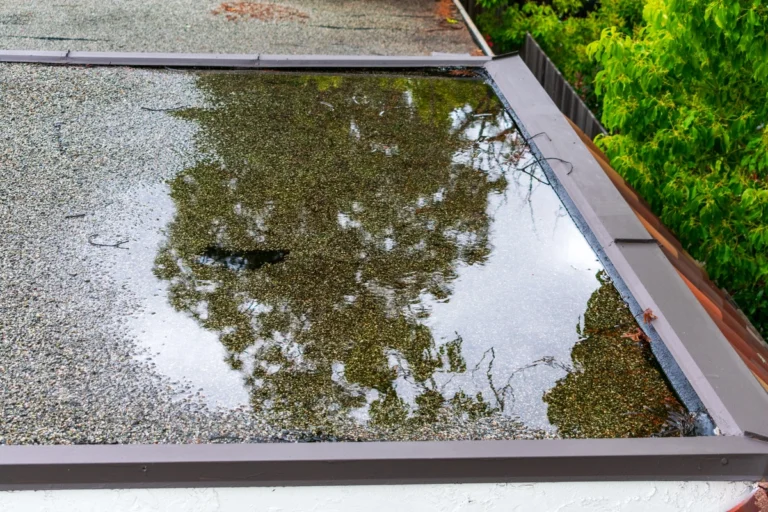 flat roof leak repair-pooling water