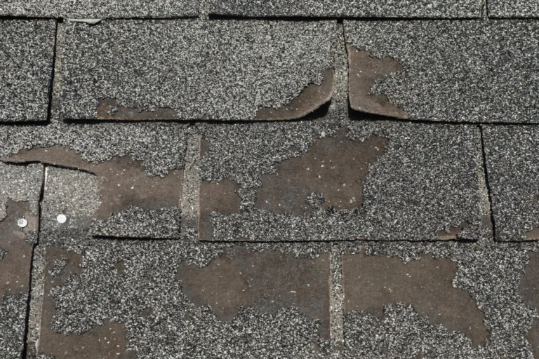 granule loss on shingles-close up of granule loss on black shingles