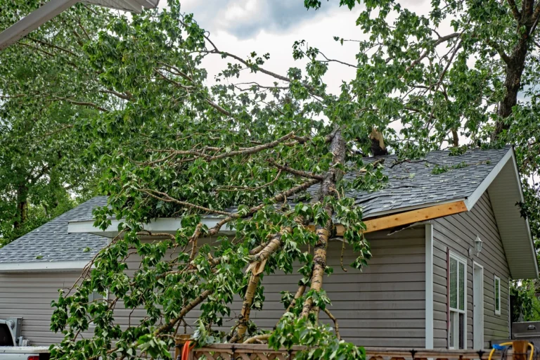 storm damage roof repair-storm knocked a tree over onto a house