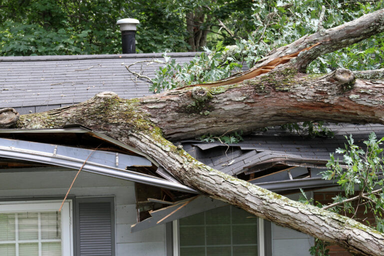 emergency roof repair-tree fell on house roof, causing significant damage