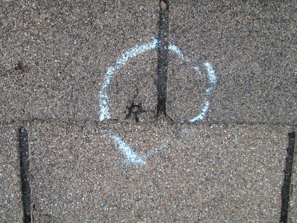 Roof Hail Damaged Shingles Inspection