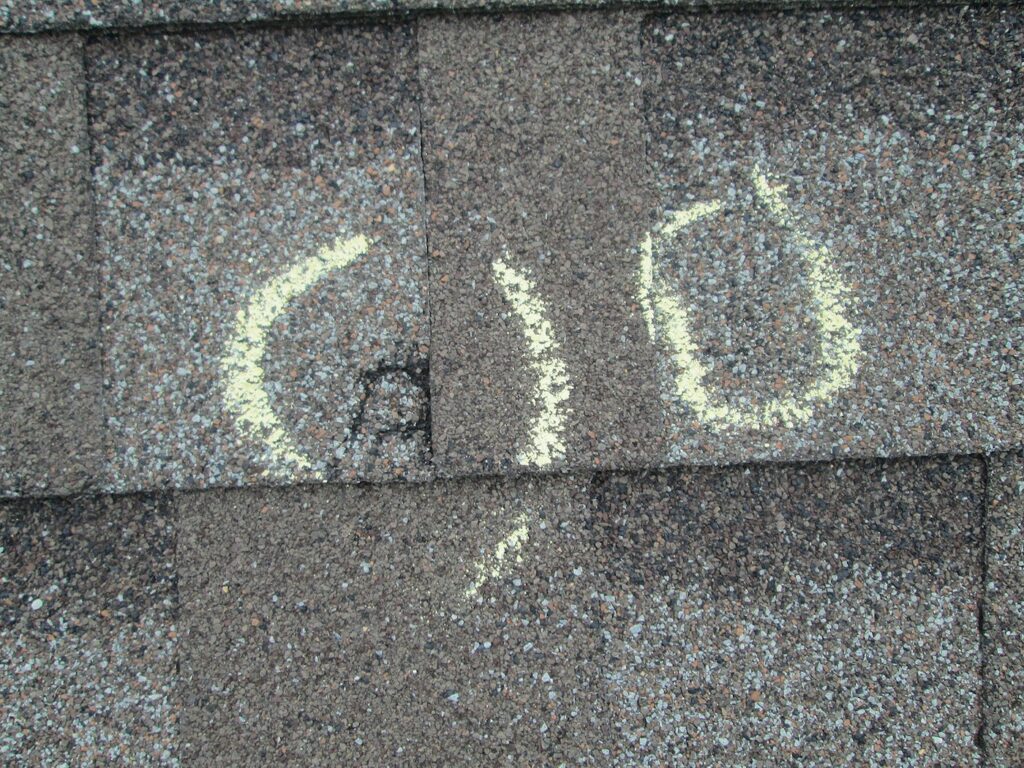 Hail Damaged Roofing Shingles Inspection