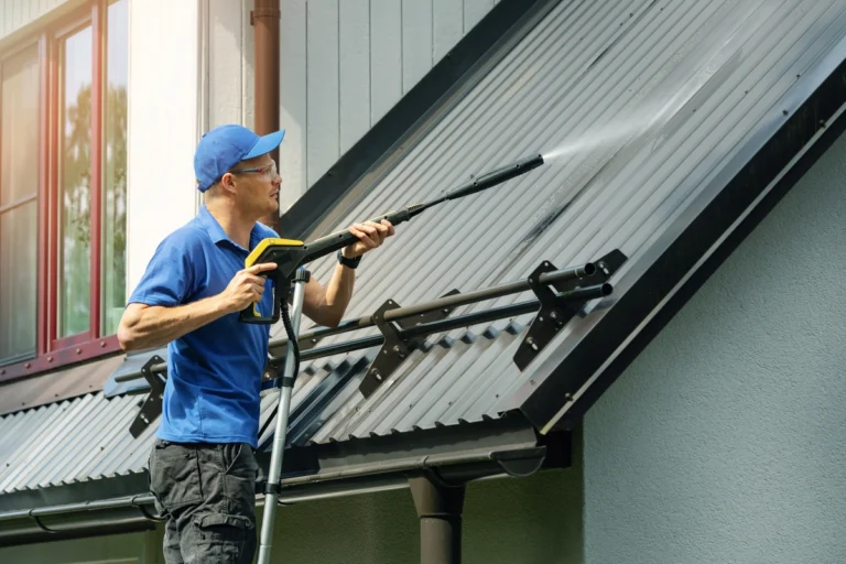 spray clean roof