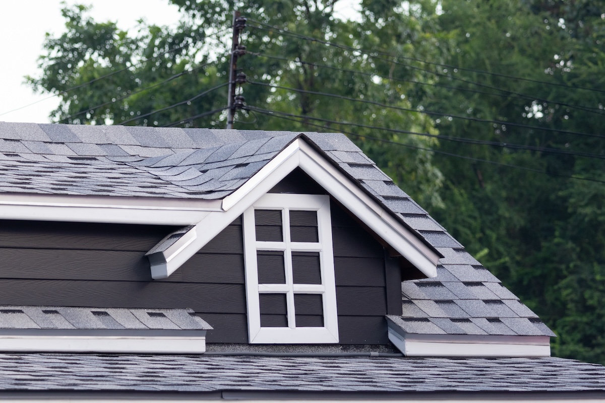 roof shingle with fake garret window with tree as background
